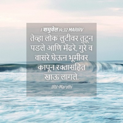 Picture 04 - 1 शमुवेल 14:32 MARIRV - तेव्हा लोक लुटीवर - Bible Verse Picture