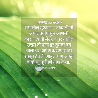 Picture 04 - 1 शमुवेल 15:15 MARIRV - मग शौल म्हणाला, - Bible Verse Picture