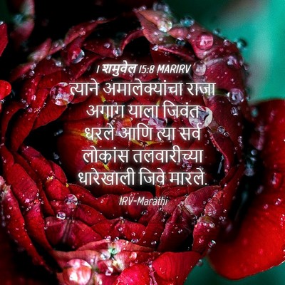 Picture 04 - 1 शमुवेल 15:8 MARIRV - त्याने - Bible Verse Picture