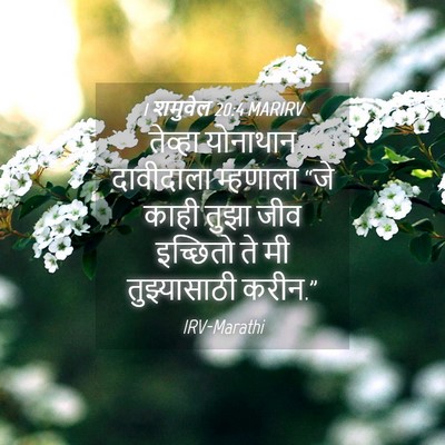 Picture 04 - 1 शमुवेल 20:4 MARIRV - तेव्हा योनाथान - Bible Verse Picture