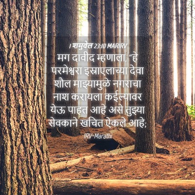 Picture 04 - 1 शमुवेल 23:10 MARIRV - मग दावीद म्हणाला, - Bible Verse Picture