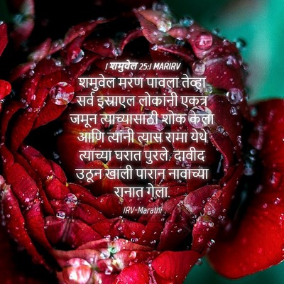 Picture 04 - 1 शमुवेल 25:1 MARIRV - शमुवेल मरण पावला - Bible Verse Picture