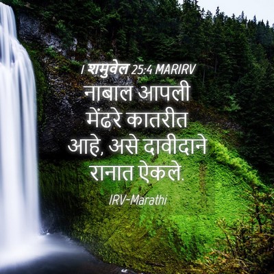 Picture 04 - 1 शमुवेल 25:4 MARIRV - नाबाल आपली मेंढरे - Bible Verse Picture