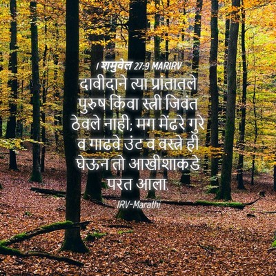 Picture 04 - 1 शमुवेल 27:9 MARIRV - दावीदाने त्या - Bible Verse Picture