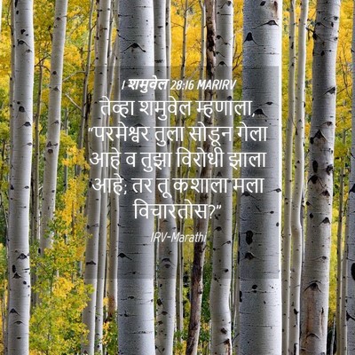 Picture 04 - 1 शमुवेल 28:16 MARIRV - तेव्हा शमुवेल - Bible Verse Picture
