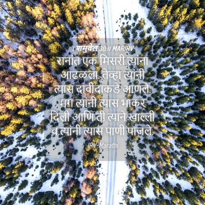 Picture 04 - 1 शमुवेल 30:11 MARIRV - रानांत एक मिसरी - Bible Verse Picture