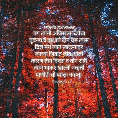 Picture 04 - 1 शमुवेल 30:12 MARIRV - मग त्यांनी - Bible Verse Picture