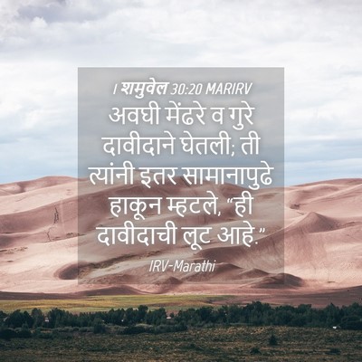 Picture 04 - 1 शमुवेल 30:20 MARIRV - अवघी मेंढरे व गुरे - Bible Verse Picture