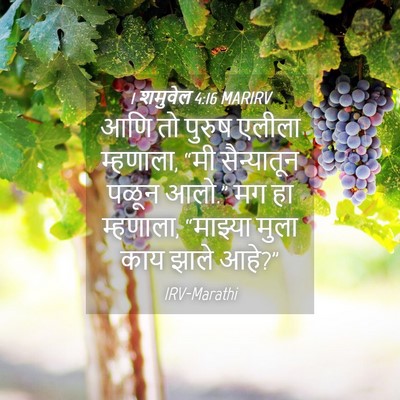 Picture 04 - 1 शमुवेल 4:16 MARIRV - आणि तो पुरुष एलीला - Bible Verse Picture