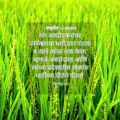Picture 04 - 1 शमुवेल 5:6 MARIRV - मग अश्दोदकरांवर - Bible Verse Picture