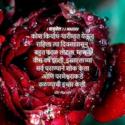 Picture 04 - 1 शमुवेल 7:2 MARIRV - कोश - Bible Verse Picture
