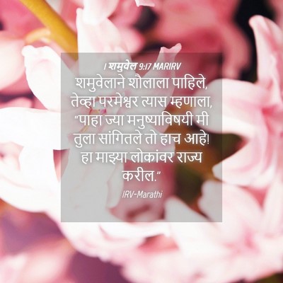 Picture 04 - 1 शमुवेल 9:17 MARIRV - शमुवेलाने शौलाला - Bible Verse Picture