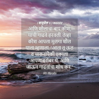 Picture 04 - 1 शमुवेल 9:3 MARIRV - आणि शौलाचा बाप कीश, - Bible Verse Picture