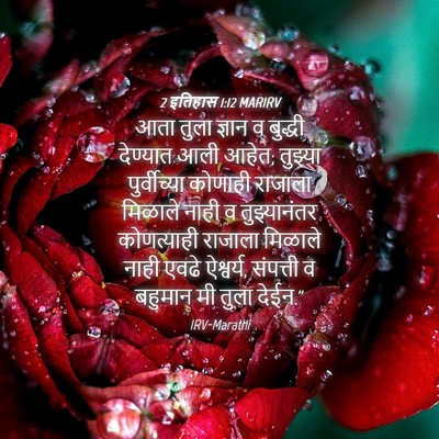 Picture 04 - 2 इतिहास 1:12 MARIRV - आता तुला ज्ञान व - Bible Verse Picture