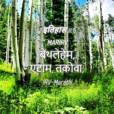 Picture 04 - 2 इतिहास 11:6 MARIRV - बेथलेहेम, एटाम, - Bible Verse Picture