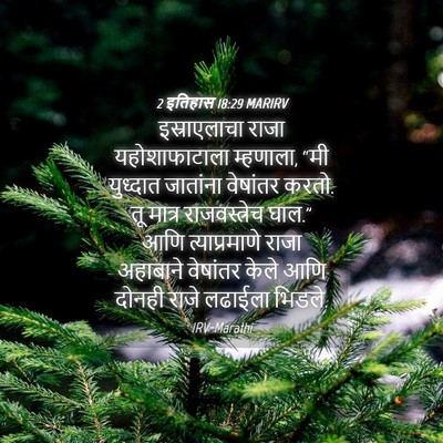 Picture 04 - 2 इतिहास 18:29 MARIRV - इस्राएलाचा राजा - Bible Verse Picture