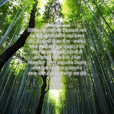 Picture 04 - 2 इतिहास 28:23 MARIRV - दिमिष्काच्या - Bible Verse Picture