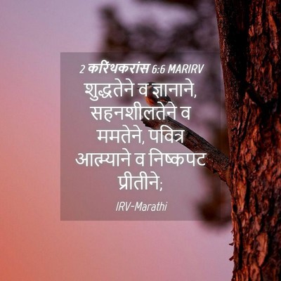 Picture 04 - 2 करिंथकरांस 6:6 MARIRV - शुद्धतेने व - Bible Verse Picture