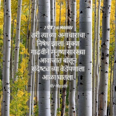 Picture 04 - 2 पेत्र 2:16 MARIRV - तरी त्याच्या - Bible Verse Picture