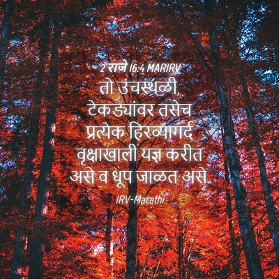 Picture 04 - 2 राजे 16:4 MARIRV - तो उंचस्थळी, - Bible Verse Picture