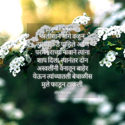 Picture 04 - 2 राजे 2:24 MARIRV - अलीशाने मागे वळून - Bible Verse Picture
