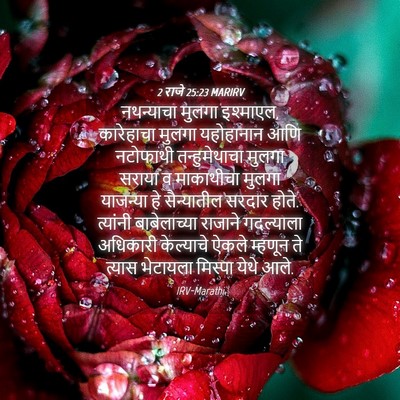 Picture 04 - 2 राजे 25:23 MARIRV - नथन्याचा मुलगा - Bible Verse Picture