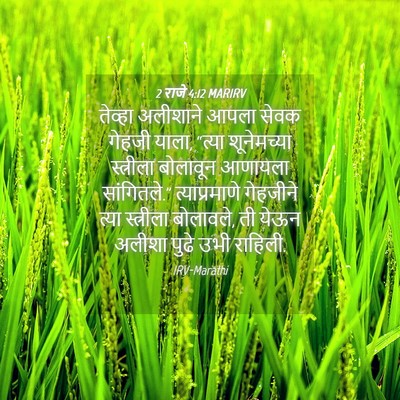Picture 04 - 2 राजे 4:12 MARIRV - तेव्हा अलीशाने - Bible Verse Picture