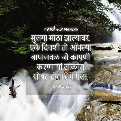 Picture 04 - 2 राजे 4:18 MARIRV - मुलगा मोठा - Bible Verse Picture