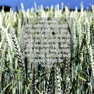 Picture 04 - 2 राजे 4:29 MARIRV - तेव्हा अलीशा - Bible Verse Picture