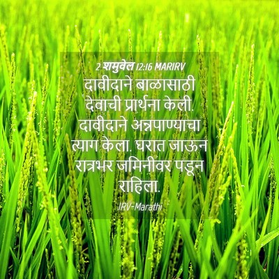 Picture 04 - 2 शमुवेल 12:16 MARIRV - दावीदाने बाळासाठी - Bible Verse Picture
