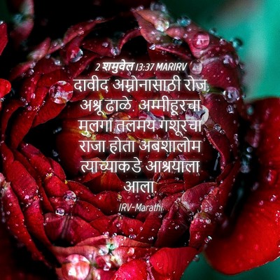 Picture 04 - 2 शमुवेल 13:37 MARIRV - दावीद अम्नोनासाठी - Bible Verse Picture