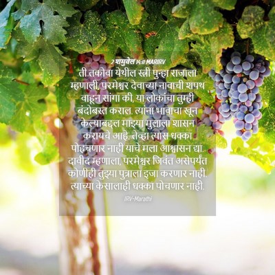 Picture 04 - 2 शमुवेल 14:11 MARIRV - ती तकोवा येथील - Bible Verse Picture