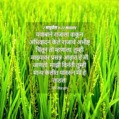 Picture 04 - 2 शमुवेल 14:22 MARIRV - यवाबाने राजाला - Bible Verse Picture