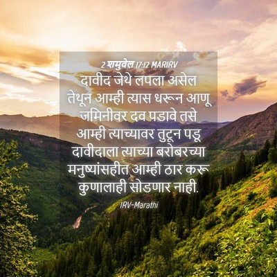 Picture 04 - 2 शमुवेल 17:12 MARIRV - दावीद जेथे लपला - Bible Verse Picture