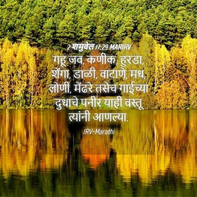 Picture 04 - 2 शमुवेल 17:29 MARIRV - गहू जव, कणीक, हुरडा, - Bible Verse Picture