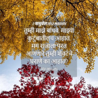 Picture 04 - 2 शमुवेल 19:12 MARIRV - तुम्ही माझे बांधव, - Bible Verse Picture
