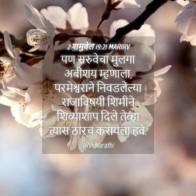 Picture 04 - 2 शमुवेल 19:21 MARIRV - पण सरुवेचा मुलगा - Bible Verse Picture