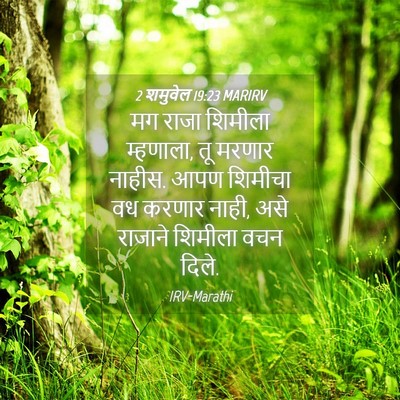 Picture 04 - 2 शमुवेल 19:23 MARIRV - मग राजा शिमीला - Bible Verse Picture
