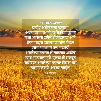 Picture 04 - 2 शमुवेल 20:6 MARIRV - दावीद अबीशयला - Bible Verse Picture