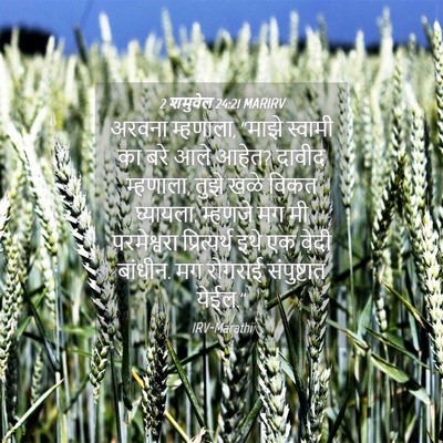 Picture 04 - 2 शमुवेल 24:21 MARIRV - अरवना म्हणाला, - Bible Verse Picture
