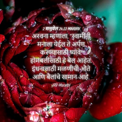 Picture 04 - 2 शमुवेल 24:22 MARIRV - अरवना म्हणाला, - Bible Verse Picture