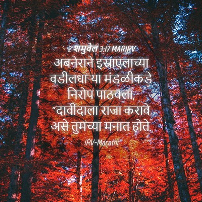 Picture 04 - 2 शमुवेल 3:17 MARIRV - अबनेराने - Bible Verse Picture