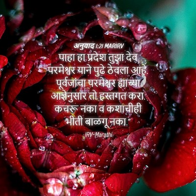 Picture 04 - अनुवाद 1:21 MARIRV - पाहा हा प्रदेश - Bible Verse Picture