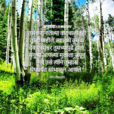 Picture 04 - अनुवाद 1:31 MARIRV - तसेच रानातल्या - Bible Verse Picture
