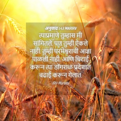 Picture 04 - अनुवाद 1:43 MARIRV - त्याप्रमाणे - Bible Verse Picture