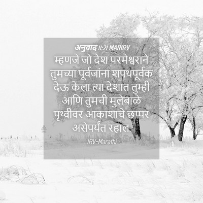 Picture 04 - अनुवाद 11:21 MARIRV - म्हणजे जो देश - Bible Verse Picture