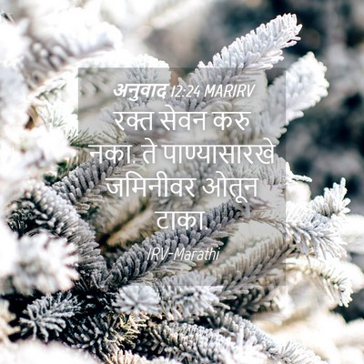 Picture 04 - अनुवाद 12:24 MARIRV - रक्त सेवन करु नका. - Bible Verse Picture