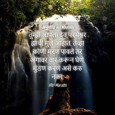 Picture 04 - अनुवाद 14:1 MARIRV - तुम्ही आपला देव - Bible Verse Picture