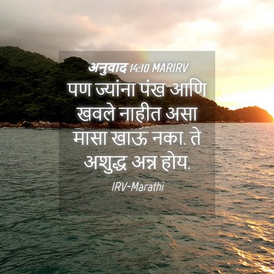 Picture 04 - अनुवाद 14:10 MARIRV - पण ज्यांना पंख आणि - Bible Verse Picture