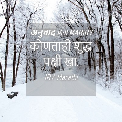 Picture 04 - अनुवाद 14:11 MARIRV - कोणताही शुद्ध - Bible Verse Picture